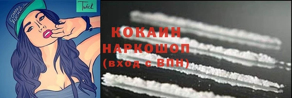 дмт Новозыбков