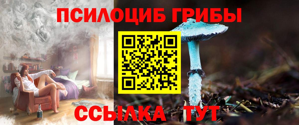 Зеленогорск  Галлюциногенные грибы мухоморы  Вход с VPN 