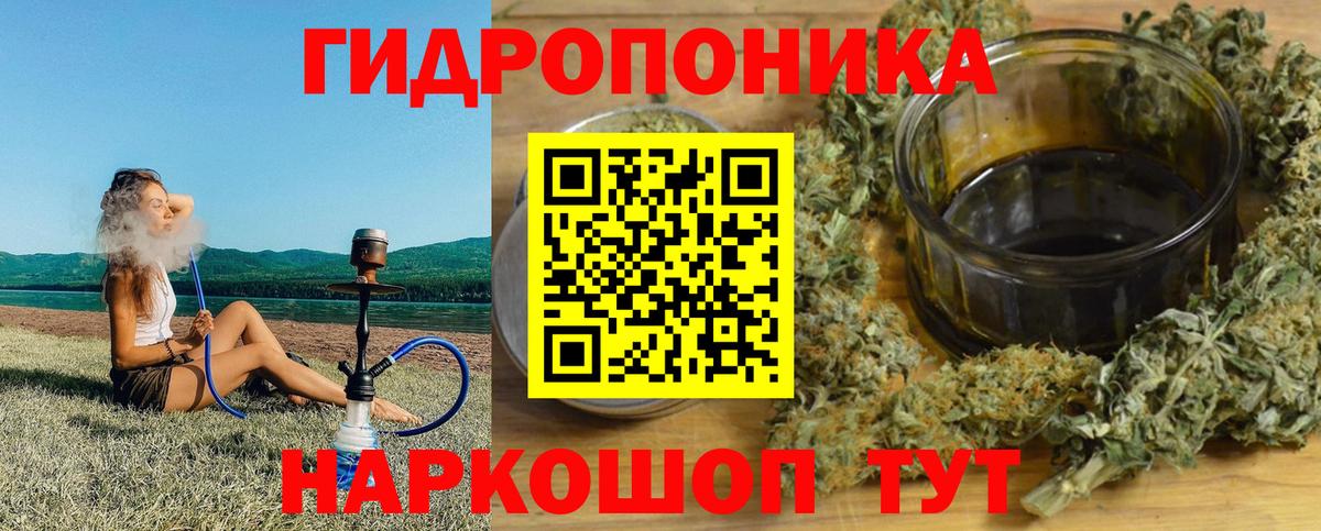 Бошки марихуана индика  Зеленогорск  Марихуана AK-47  Марихуана семена  Канабис план 